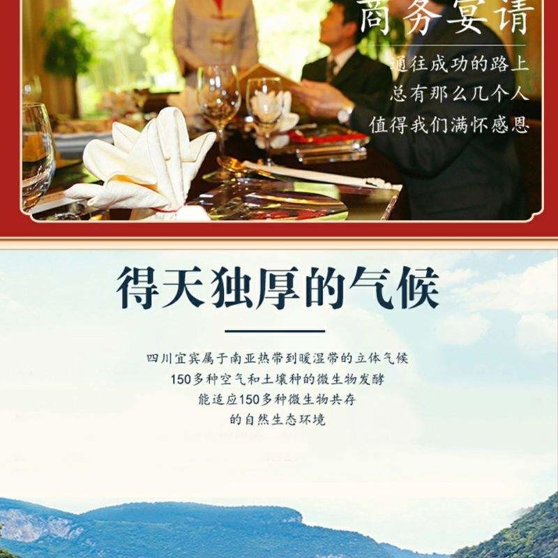 五粮液浓香型白酒龙赐吉祥500ml*2礼盒装送礼