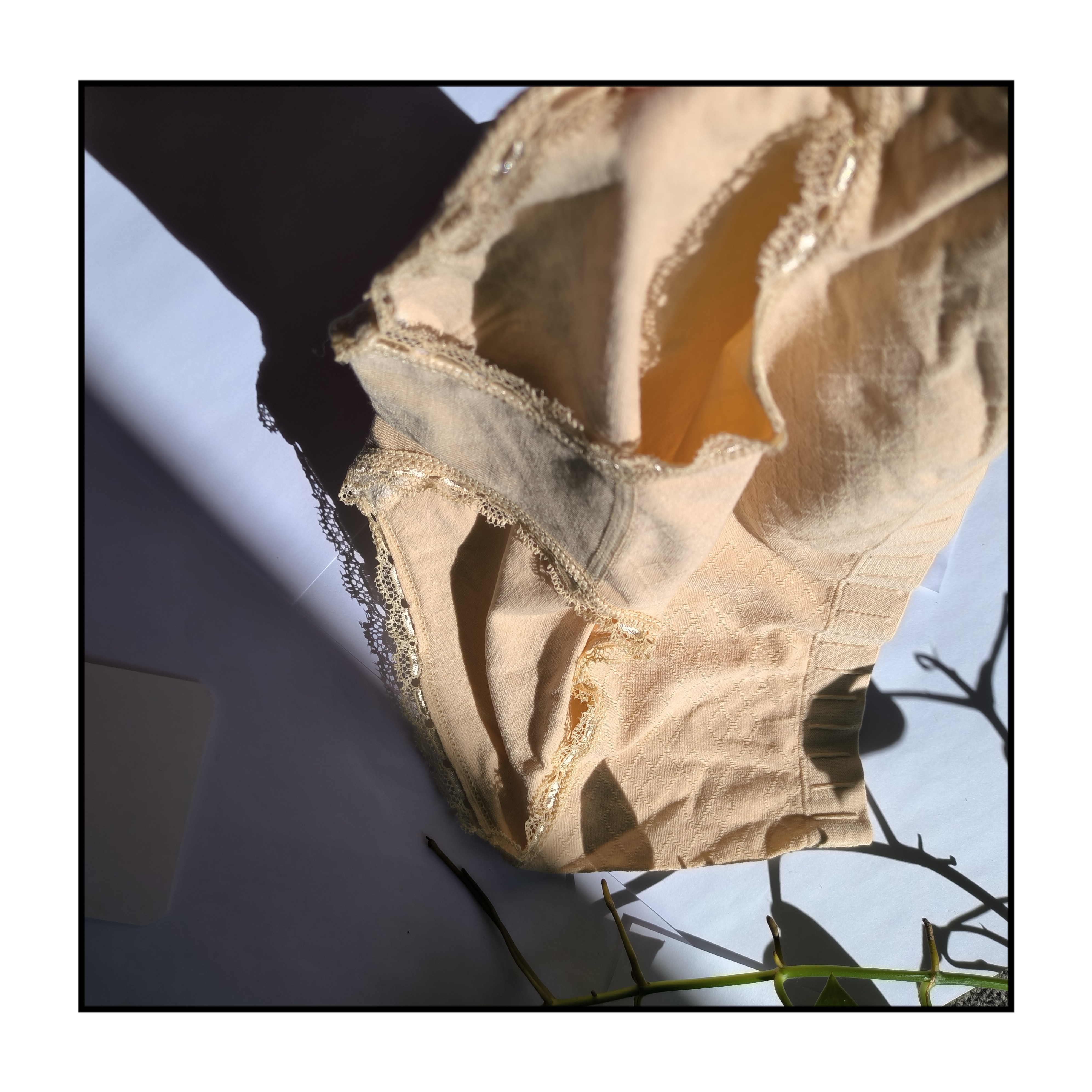 浪莎女士抑菌内裤混色2条装 F2.NK3370-2