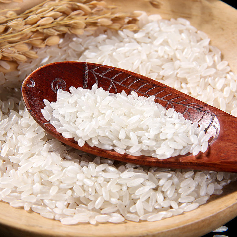 掌中禾东北大米新米五常稻花香米2号10斤