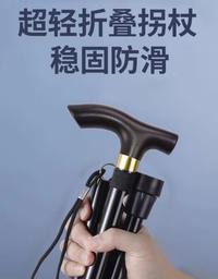 猎燕登山杖黑色