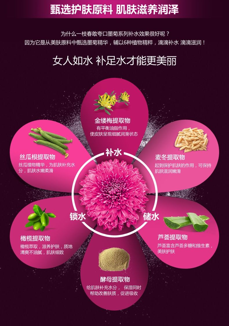 一枝春墨菊巨补水5件套