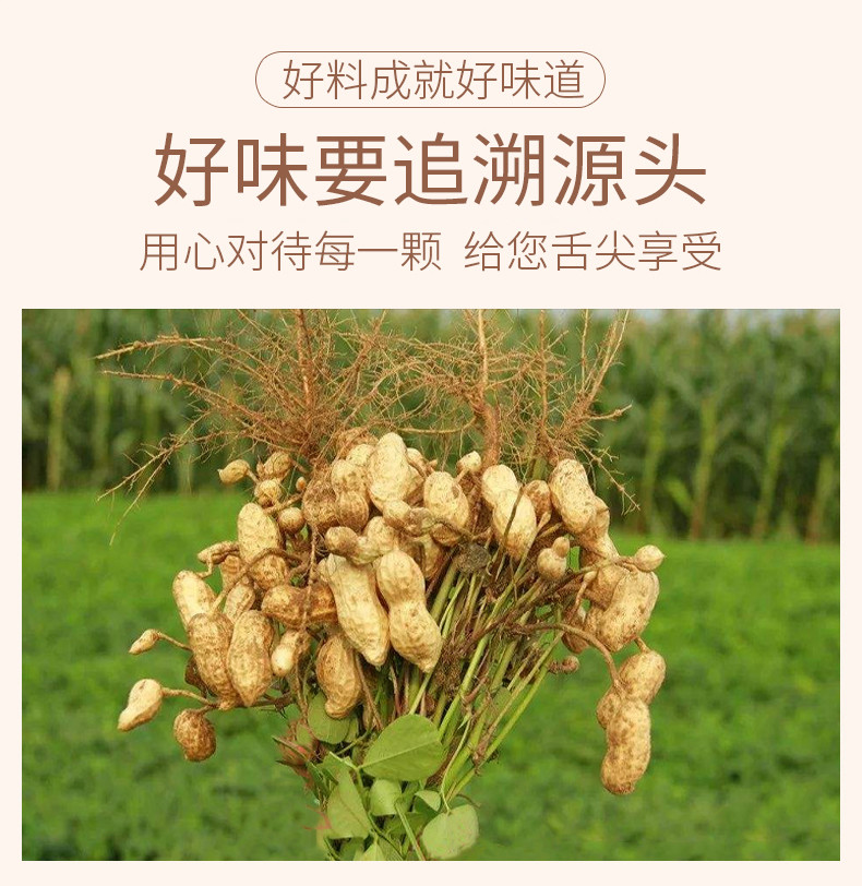 刻凡多味花生500g