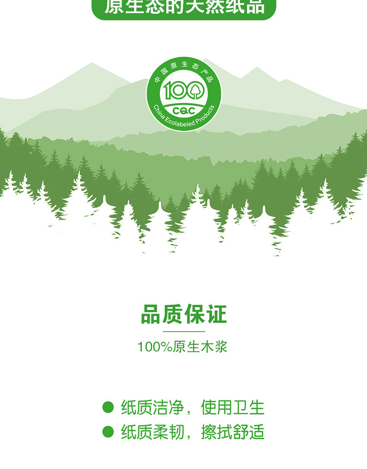 清风商用245段有芯卷筒纸10卷/提 B22AA3S