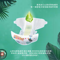 多仔熊茶籽精粹系列婴儿纸尿裤2包（混合装）