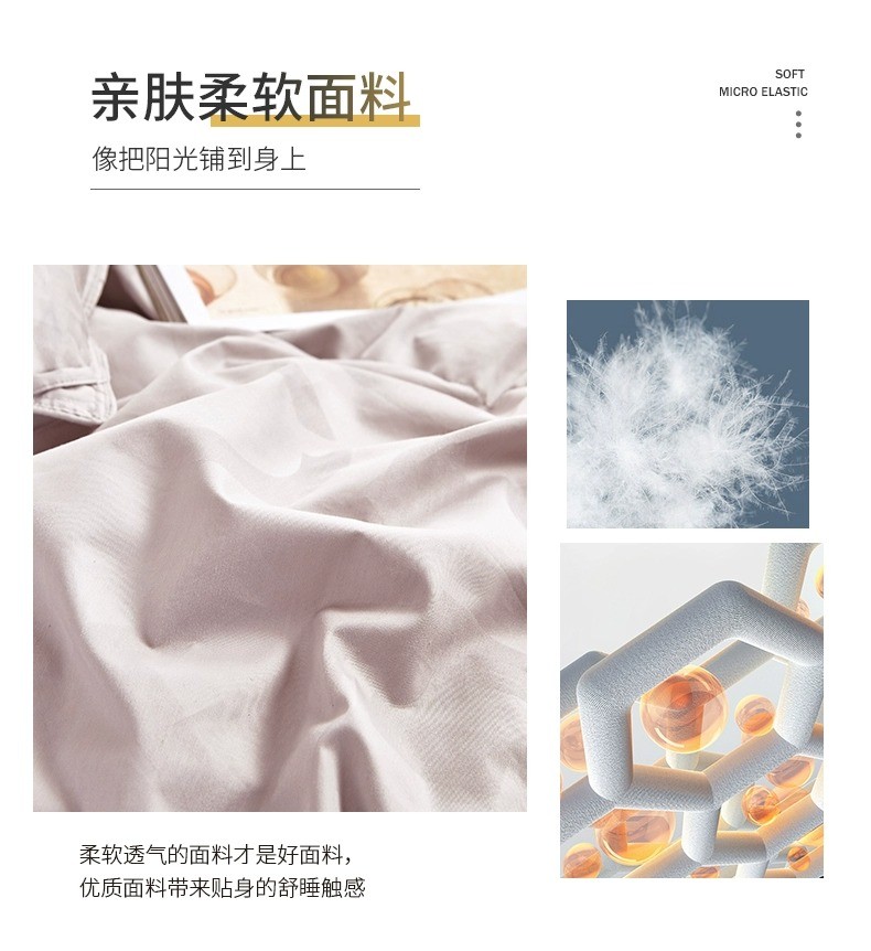 金丝莉 贝加尔雪鹅绒被JB-1261