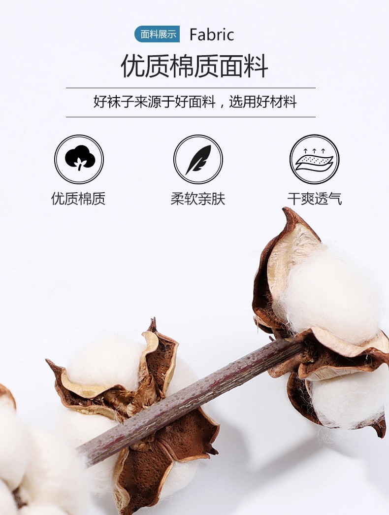 浪莎袜子男夏季薄款纯棉防臭吸汗网眼棉袜中筒春夏透气男士袜子 混色6双 均码 qpwy-6