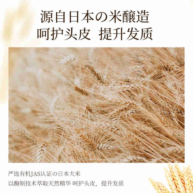 浅香YN米酿氨基酸洗发乳（净爽型）500g/750g