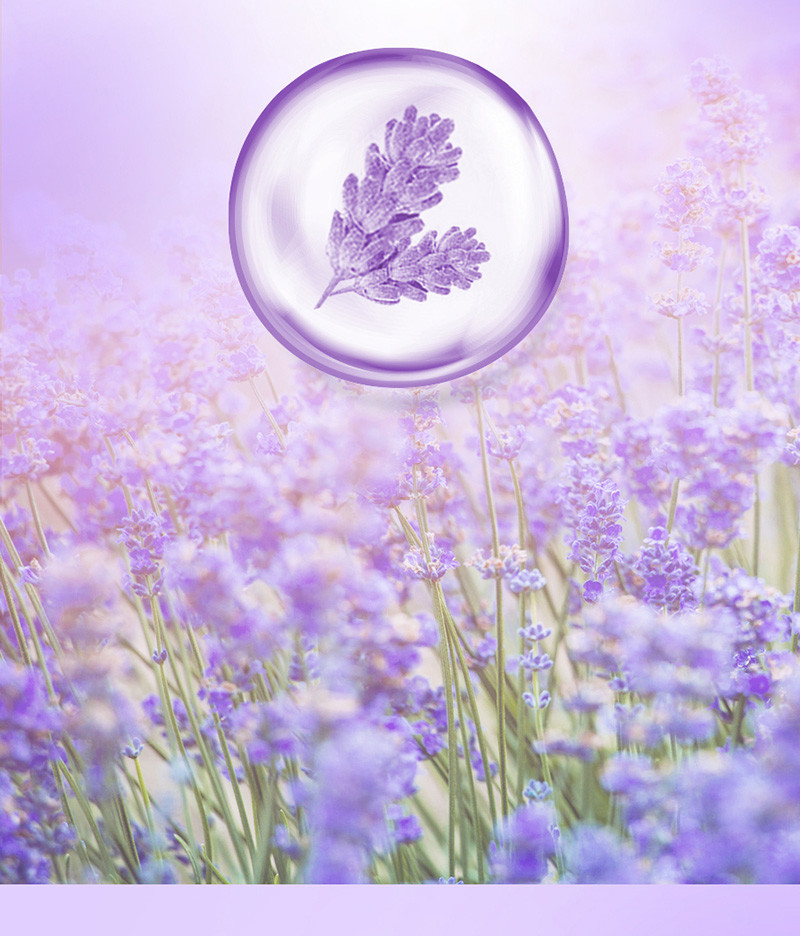 清怡香氛沐浴乳（梦幻薰衣草香调）1千克