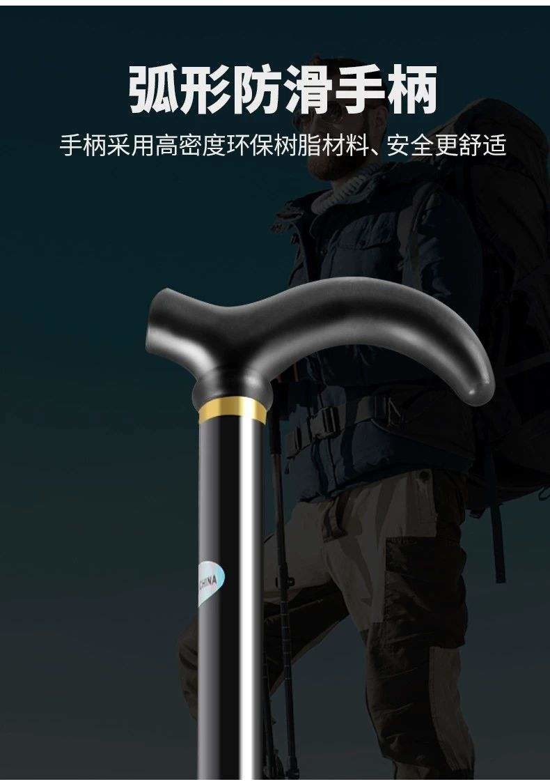 猎燕登山杖黑色