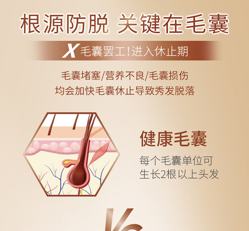 清怡防脱固发洗发露500克