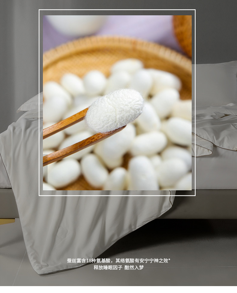 红秀世纺 抗菌天然纯蚕丝被 500g SF2303-T003