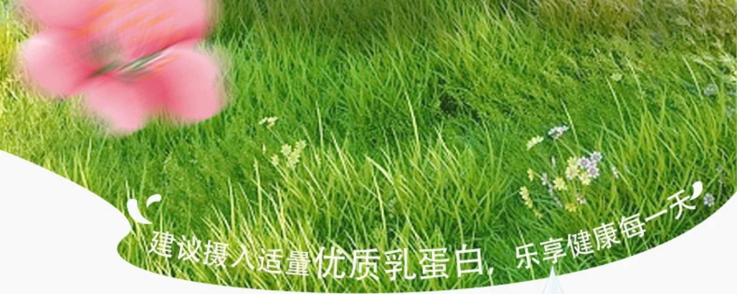伊牧欣 新疆我从伊犁来低温原味草原厚酸奶180g*12袋