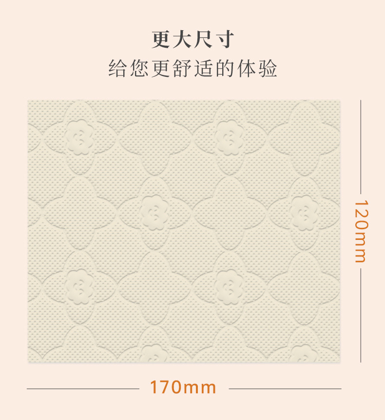 蓝漂LP-50828本色挂式抽纸（原）