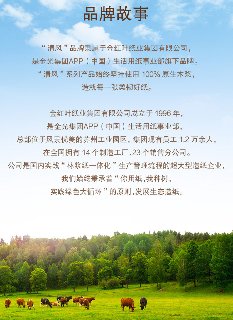 清风原木纯品3层四叶草压花120抽抽取式面巾纸 BR42AQ