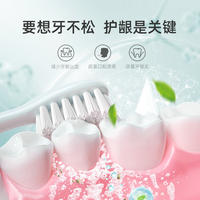 牙周修护牙膏香草薄荷味65g/支