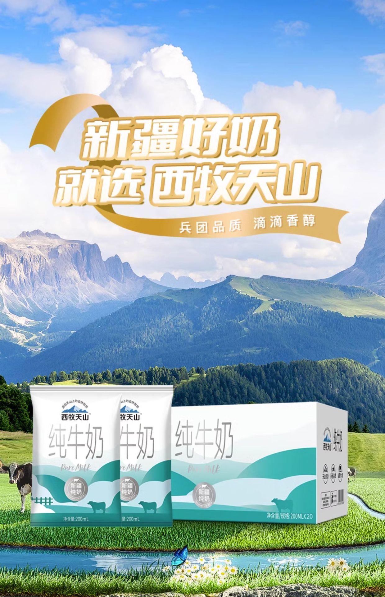 西牧天山 新疆纯奶整箱200ml*12盒全脂纯牛奶