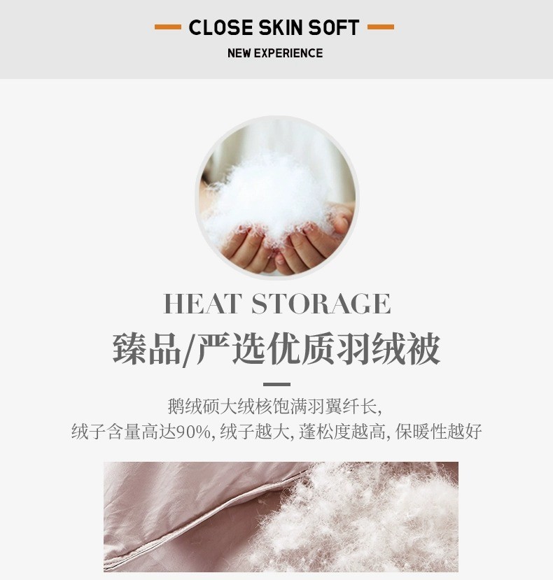 金丝莉 贝加尔雪鹅绒被JB-1261