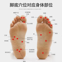 港德新款足底按摩器 10458脚底按摩器