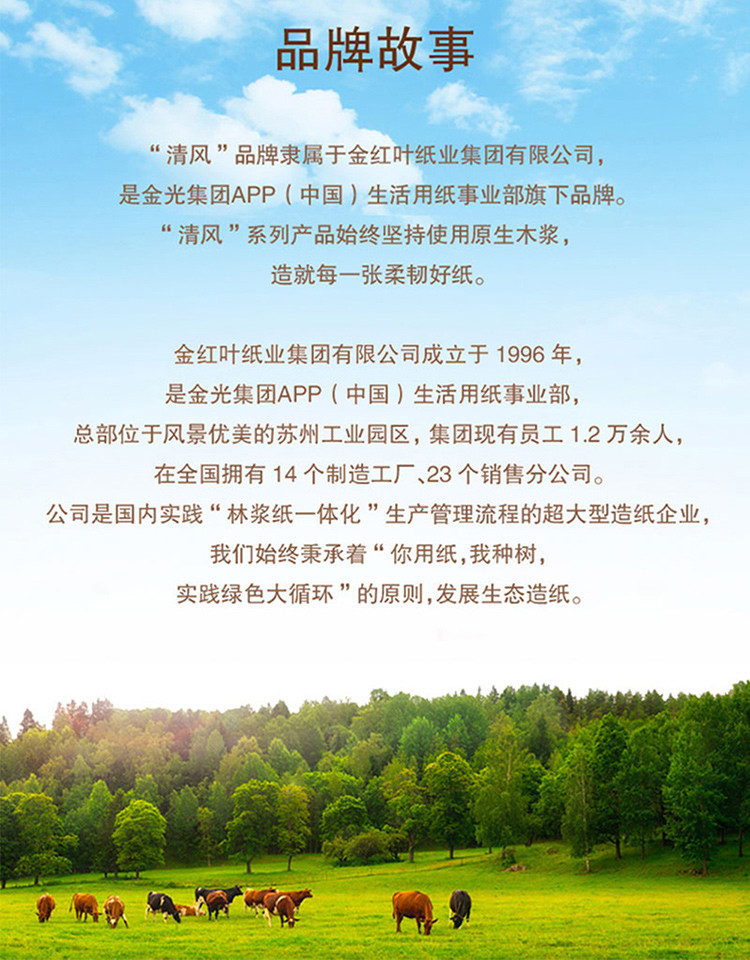 清风商用245段有芯卷筒纸10卷/提 B22AA3S