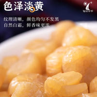 远潮瑶柱湛江特产海鲜补品礼盒装500g