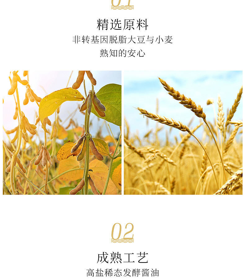 九味佳500ml金标生抽