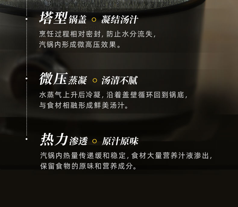 东菱（Donlim） 多功能蒸炖锅 家用电蒸锅 电炖盅煲汤煮粥蒸汽锅隔水炖 料理锅（煮锅+汽锅）DL-9009
