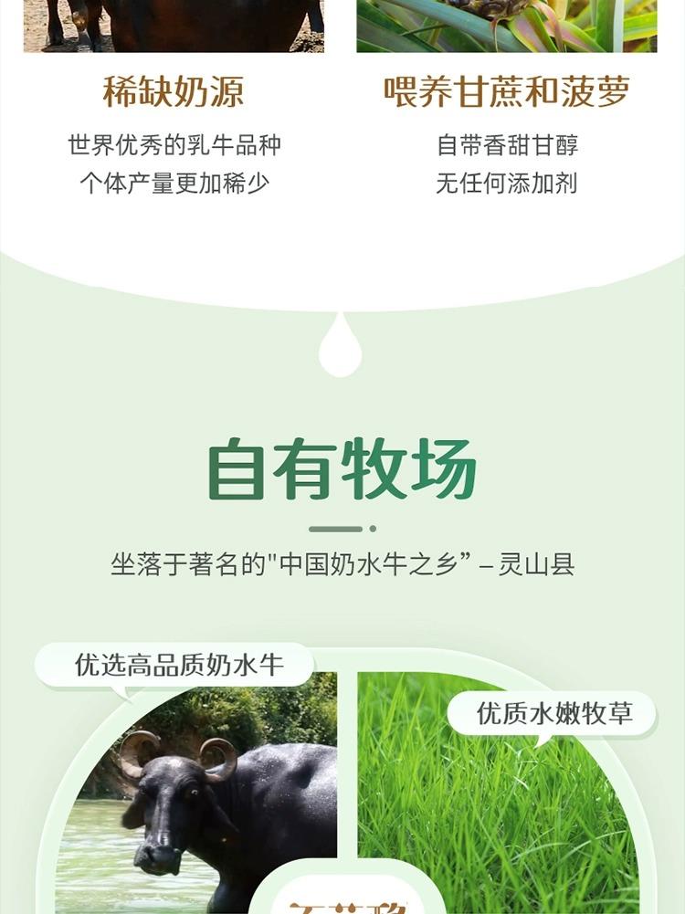 百菲酪水牛纯奶补钙营养蛋白牛奶