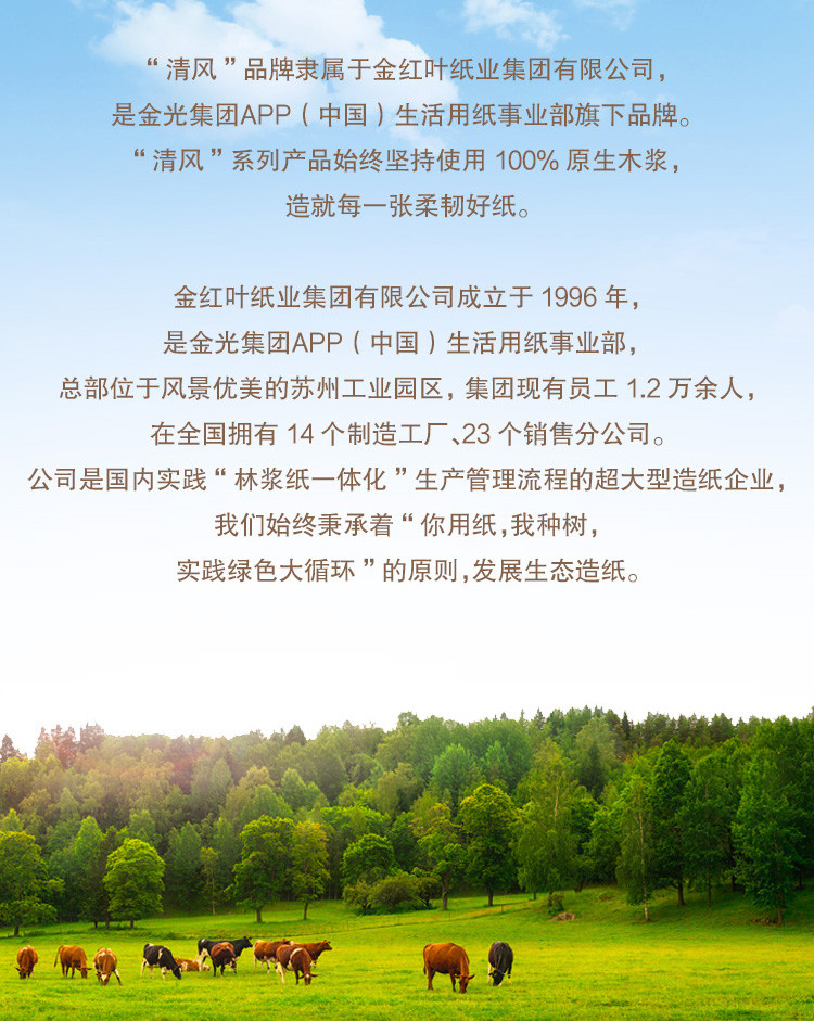 清风140g小叶细点压花卫生卷纸8卷 B208AQ