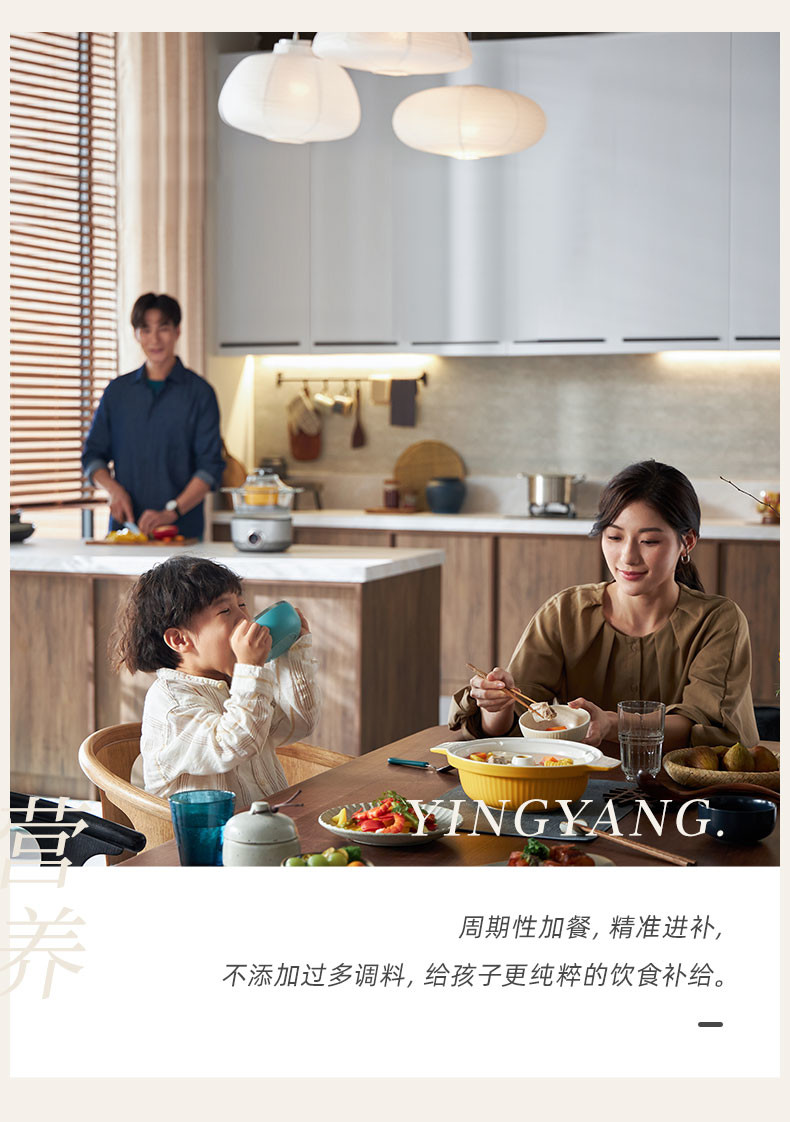 东菱（Donlim） 多功能蒸炖锅 家用电蒸锅 电炖盅煲汤煮粥蒸汽锅隔水炖 料理锅（煮锅+汽锅）DL-9009