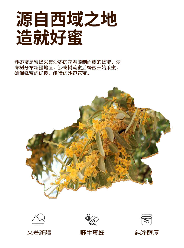 疆果果沙枣花蜜营养丰富无添加饮品10g*12支