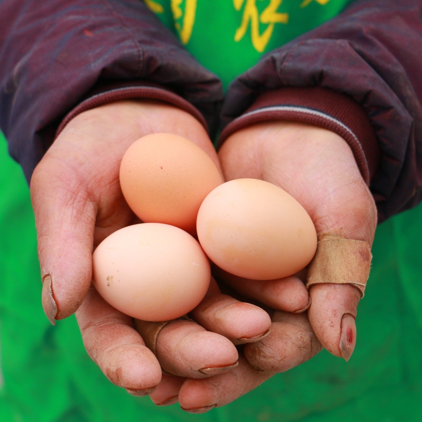 爱苜粉壳土鸡蛋散养鸡蛋 营养绿色农产品30枚装（净重三斤以上）