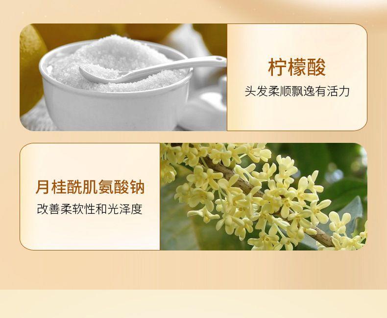 南京同仁堂芙缇生姜防脱育发洗发水