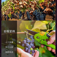 玛雅葡提飞翔马美乐红葡萄红酒187ml*6瓶/箱