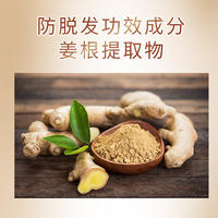 清怡防脱固发洗发露500克