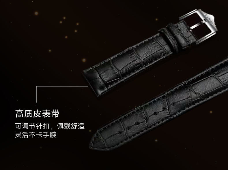 梵高全自动机械男表曜金向日葵系列M-RGLB13