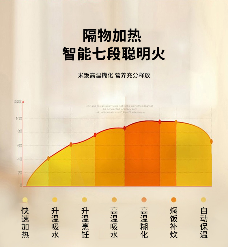 思嘉思达快釜柴火智能饭煲SKD-F0069