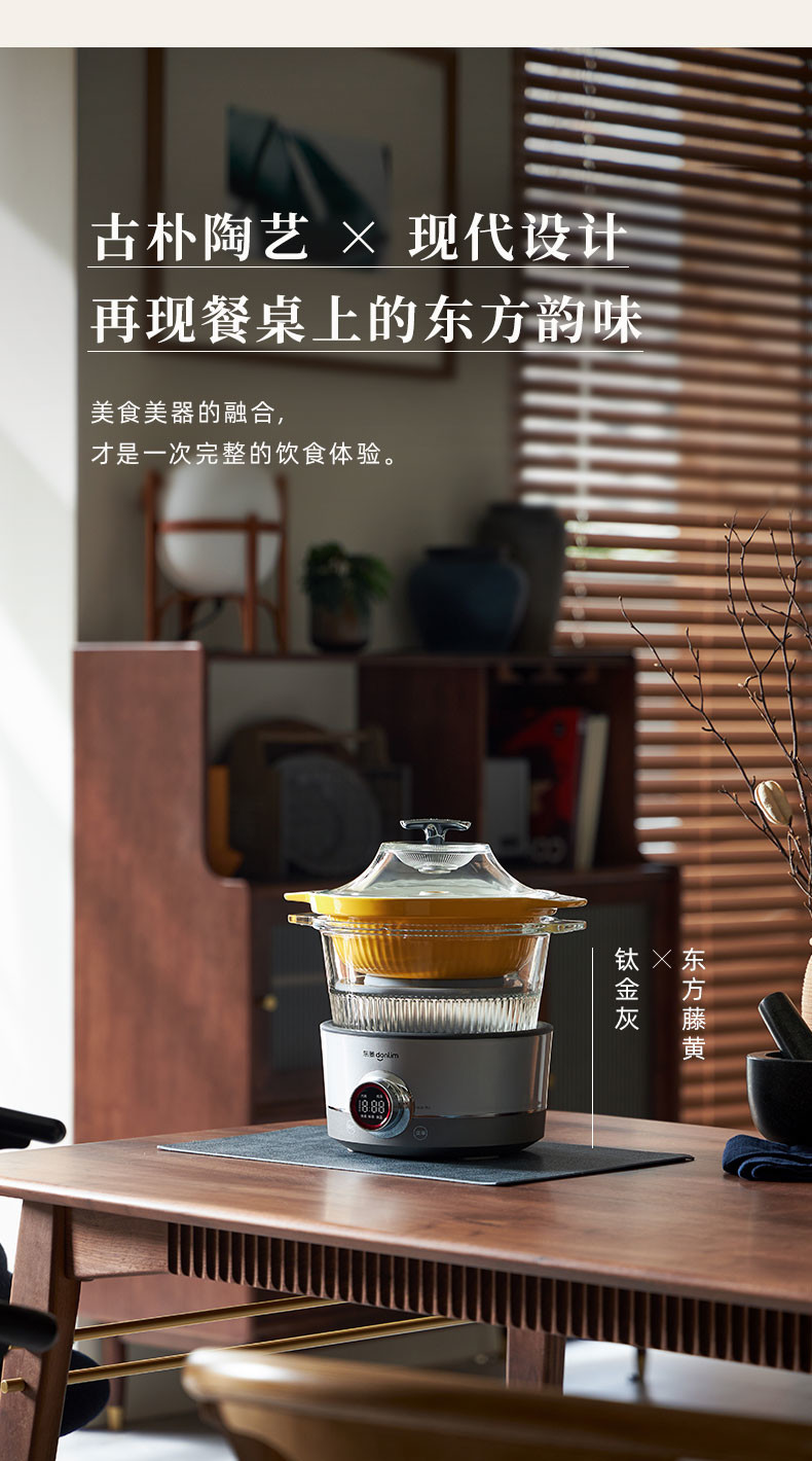 东菱（Donlim） 多功能蒸炖锅 家用电蒸锅 电炖盅煲汤煮粥蒸汽锅隔水炖 料理锅（煮锅+汽锅）DL-9009