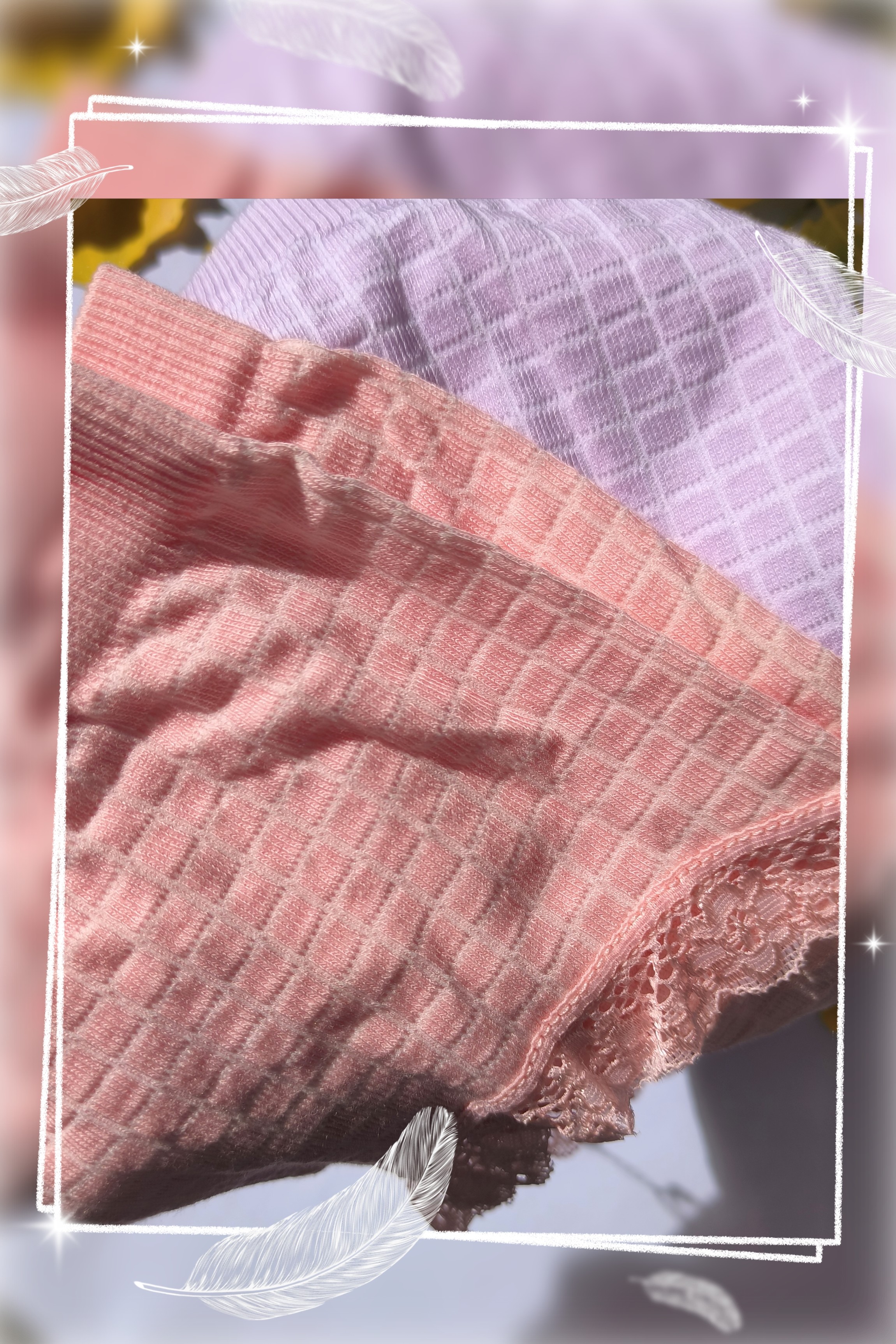 浪莎女士石墨烯抑菌内裤混色2条装 F2.NK3375-2