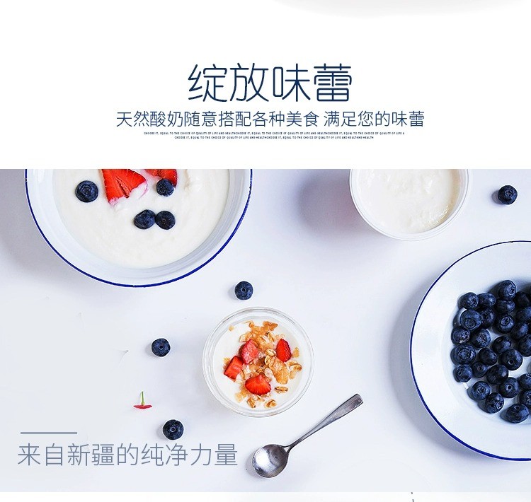花园 新疆冰淇淋酸奶120g×12盒（顺丰空运）