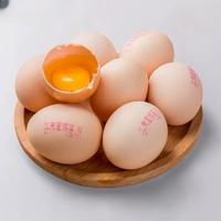 无菌可生食新鲜鸡蛋无沙门氏菌蛋20枚装