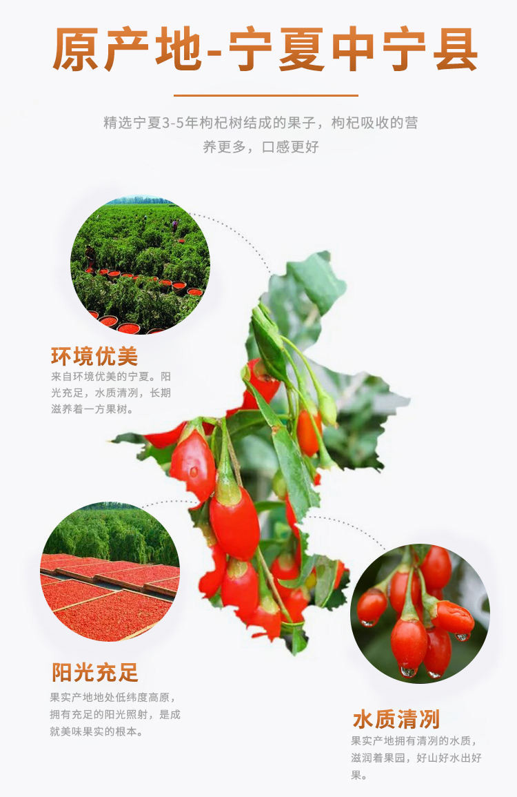任爽宁夏中宁特级枸杞258G