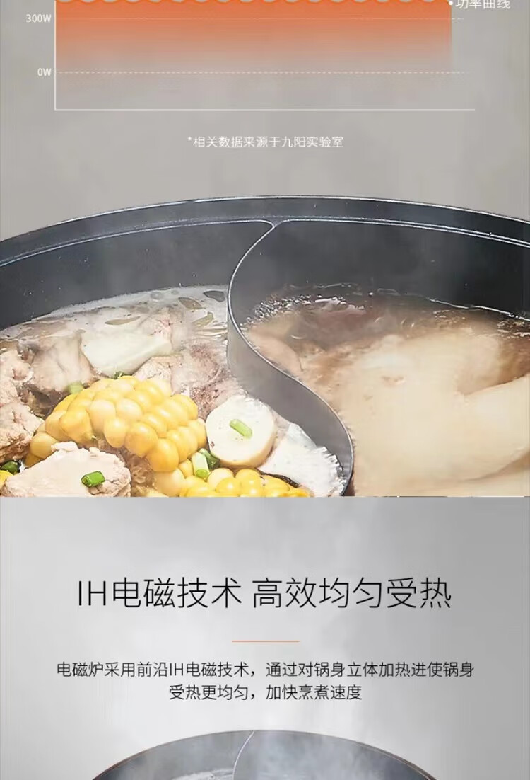 九阳（Joyoung）电火锅鸳鸯锅家用涮肉分体式C21-HG3