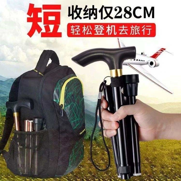 猎燕登山杖黑色