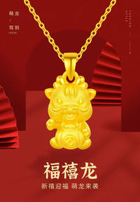 中国黄金（CHINA GOLD）999足金五福龙项链