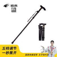猎燕登山杖黑色