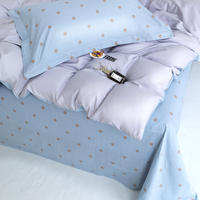 大嘴猴（paul frank）摩登套件 那些年 200×230cm PFFCS230074U