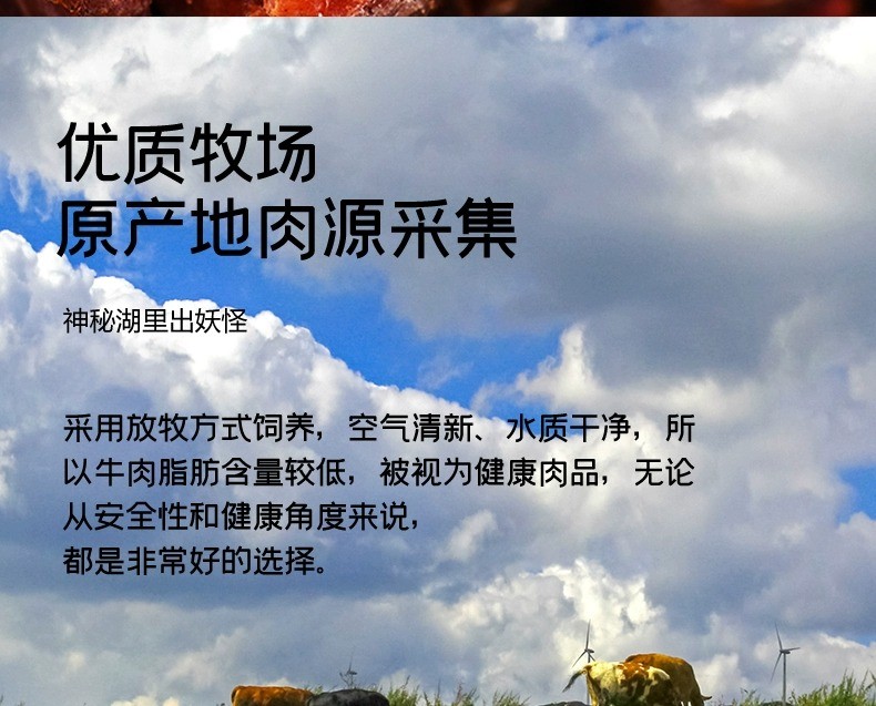 八大怪 新疆手撕风干牛肉干