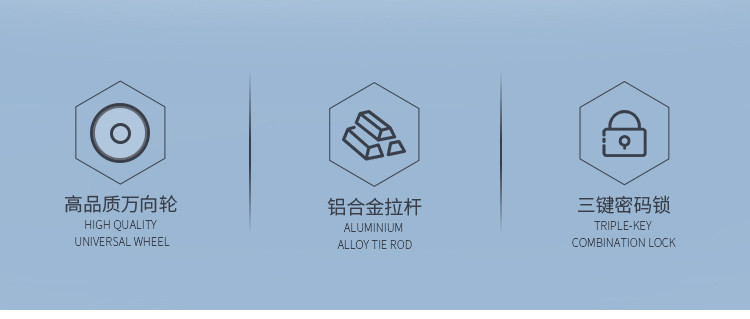 爱登堡（Edenbo）商务旅行拉杆箱20寸登机箱行李箱F32宝蓝色
