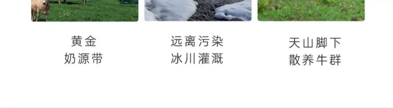 伊牧欣 新疆我从伊犁来低温原味草原厚酸奶180g*12袋