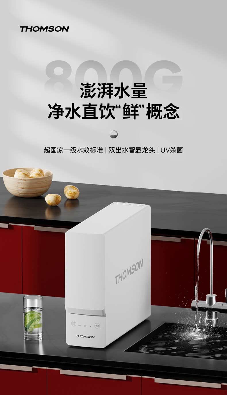 汤姆逊 反渗透净水器 TMS2205-RO